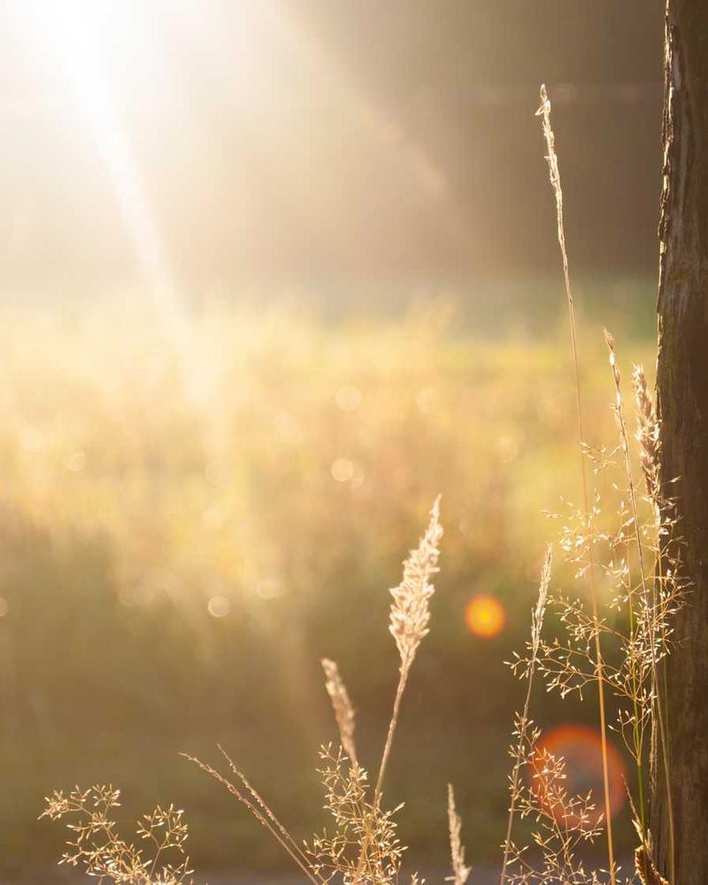 Workplace: Research Lab