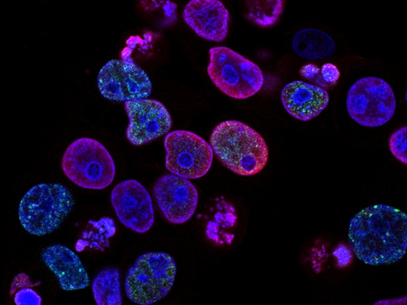 微生物工程创制中心