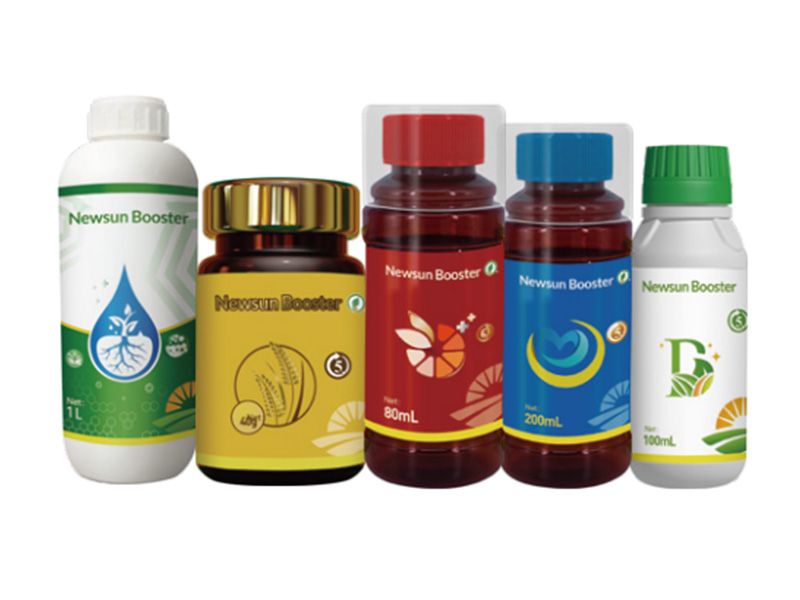 新朝阳14-羟基芸苔素内酯