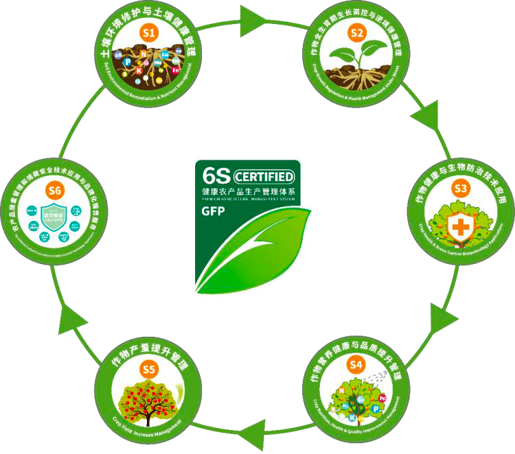 6S零残留全程作物管理